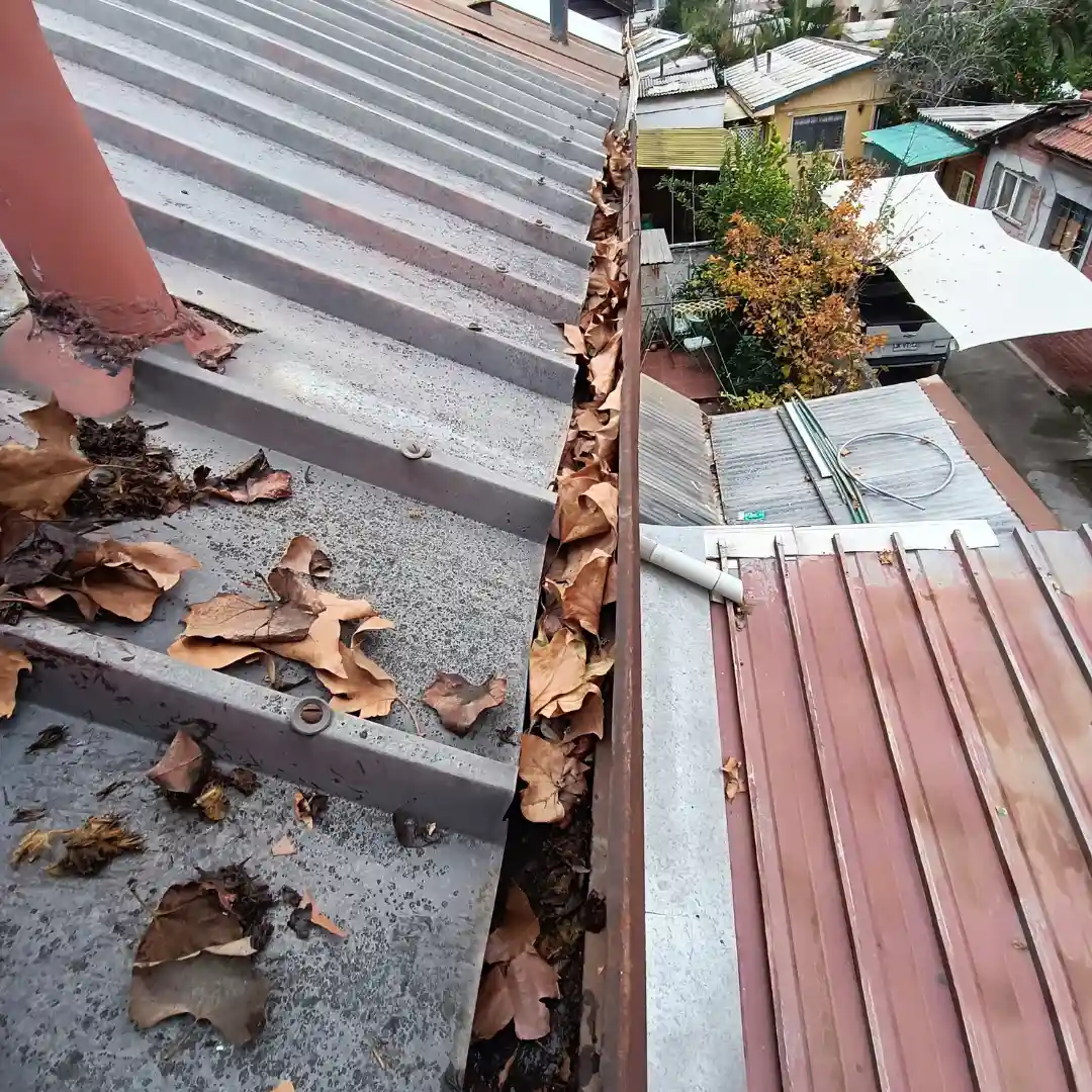 Limpieza de canaletas